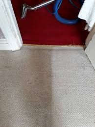 Carpet & rug cleaners upholsterers. Shakespeare Cleaning Home Facebook