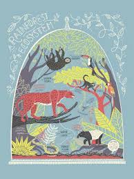 All Eight Ecosystem Prints Deal Etsy Rainforest Ecosystem Ecosystems Art