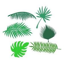 Tropical Palm Leaf Svg Cuttable Design Svg Palm Leaves Leaves