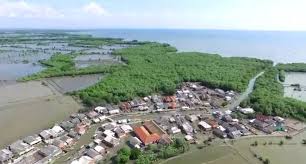 Hasil gambar untuk Muara gembong bekasi