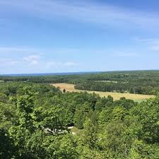 You can stroll through approximately 20,000 thriving lavender plants in the fields, where 14 different varieties of lavender are grown. The 15 Best Things To Do In Washington Island 2021 With Photos Tripadvisor