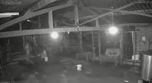 Manadiarioms 4.831.200 views11 year ago. Video Camera Flagra Lazaro Barbosa O Serial Killer Do Df Dentro De Fazenda