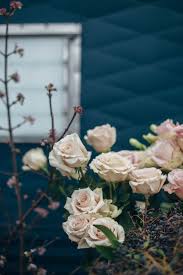 Check spelling or type a new query. Flower Meanings What Your Favorite Flower Says About You Apartment Therapy
