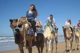 Response from stephanie d, essaouira at cheval essaouira. Spacetraveller Activity Camel Ride On The Beach Of