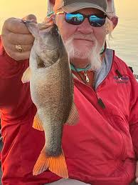 What a beautiful day today and talk about the bass feeding 31 boated with a  8.2 biggest that Brian caught. Lots of 2pnds a few would have hit 3lbs. Of  coarse there