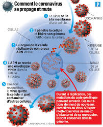 'la nuova variante del virus circola più velocemente del previsto'. F Ebskl Sglvm