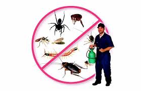 Đây là lần đầu tiên tôi sử dụng dịch vụ diệt côn trùng của tonkin pest control. Top 10 Cong Ty Diá»‡t Con Trung Táº¡i Nha á»Ÿ Ha Ná»™i Toplist Vn