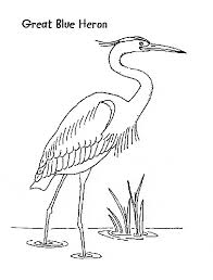 Each coloring page has some information about the bird and the color of its plumage. Great Blue Heron Coloring Page Heron Art Bird Drawings Blue Heron