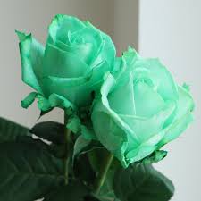 生花】バラ 染めグリーン(緑)【早締切-75】※染色加工商品です。 - 花材通販はなどんやアソシエ