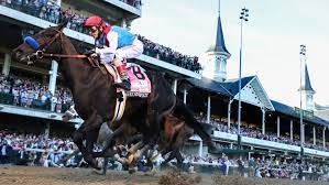 Tools & tips to win big on kentucky derby 2021! What Horses Are Possible Contenders For The 2021 Preakness Stakes