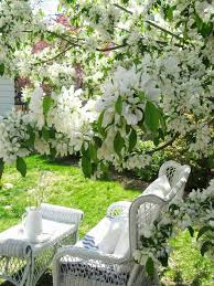 Fruhling Bluten Garten Weissen Garten Cottage Garten Garten Und Outdoor