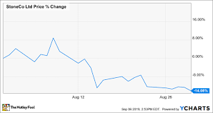Why Stoneco Stock Fell 14 1 Last Month The Motley Fool
