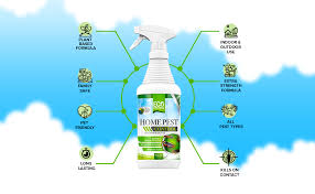 Discover these home pest control tricks from a professional pest control technician in this free video series on home pest control. Amazon Com Eco Defense Usda Biobased Pest Control Spray Ant Roach Spider Bug Killer And Repellent Natural Indoor Outdoor Bug Spray Child Pet Friendly Garden Outdoor