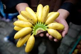Green banana бананы оптом euroexport ecuador fruit from ecuador. Ecuador S All Good Fairtrade Banana Company Food Tank