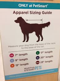 martha stewart dog apparel size chart dog clothes jacket