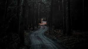 Forest Road Dark 4k Wallpaper We have 48+ amazing background pictures carefully picked by our community. forest road dark 4k wallpaper