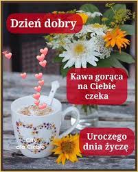Obrazek dodany przez użytkowniczkę