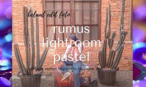 Tidak semua foto akan cocok, maka dari itu kalian harus memilih foto yang pas supaya hasil. Rumus Lightroom Pastel Tone Edit Foto Terbaru