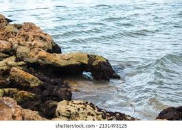 Photo & Image Portfolio by Aaron Waldschmidt