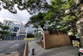 湛江网站建设服务公司网站开源-广州其酷科技有限公司