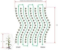 Want to know more about working here? Https Www Fieldrobot Com Event Wp Content Uploads 2018 02 Proceedings Fre2014 Pdf