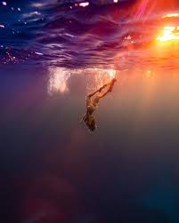Underwater Rainbows Afternoon Colors Lighting Up Alliedimauro Reposted From Danhlegend Underwater Photography Nature Photography Nature Water