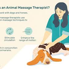 How much does a massage therapist make near you? Animal Massage Therapist Job Description Salary More