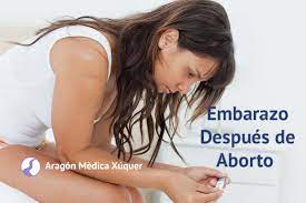Embarazo Despues De Aborto Aragon Medica Xuquer