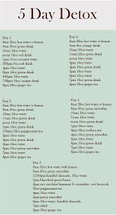 5 Day Juice Cleanse Recap Yogabycandace Detox Meal Plan Healthy Detox Cleanse Healthy Detox