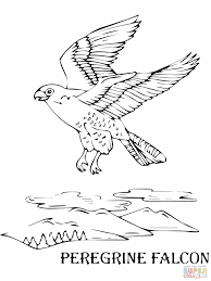 Even more activities see all. Falcon Coloring Pages To Download And Print For Free