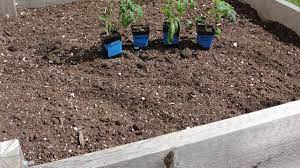 Check spelling or type a new query. How To Amend Raised Bed Garden Soil Dengarden