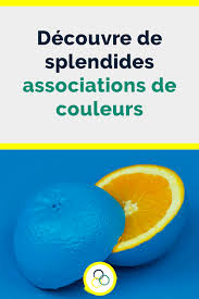 Decouvre La Signification Des Couleurs Des Associations Harmonieuses Signification Des Couleurs Exemple De Logo Et Association Couleur