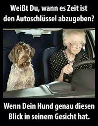 1 2 3 4 nächste seite ». Pin Von Elke Kramer Auf Humor Witzige Bilder Lustige Bilder Lustige Zitate Und Spruche