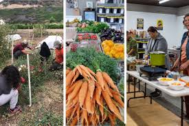 Foodshed Cooperative Is Growing San Diego's Small-Farm Economy