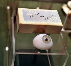 Artificial Eye With Packaging C 1935 Collection Of The International Museum Of Surgical Science Chicago Michael Robinson Science Anatomy