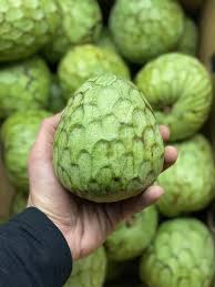 Cherimoya fruit range in weight from about ¼ . Cherimoya Order Exotic Fruits Online Full Moon Fruits