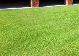 What kind of grass does san antonio use? Two San Antonio Online Businesses In State S Cross Hairs