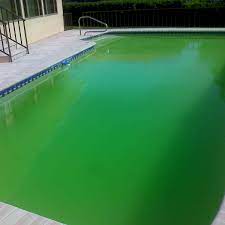 Testing the pool water gives you essential information about the water's chemistry. Why Is My Pool Still Green Or Cloudy After Shocking Dengarden