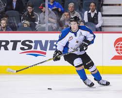Occasionally dabbing into happenings around the league. Cale Fleury Scouting Report 2017 Nhl Draft Lwohp