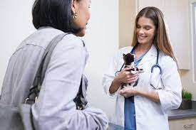 A Z Walkthrough Of The Fvrcp Vaccine For Cats Petco