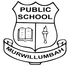 Creative Arts Murwillumbah Public School