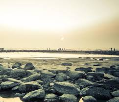 Image result for cox bazar picture hd
