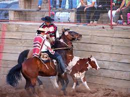 1,056 likes · 67 talking about this. Rodeo In Chile 2021