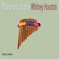 Heartbreak hotel peaked at number two on the u.s. Heartbreak Hotel Mp3 Song Download Heartbreak Hotel Song By Ricardo Caliente Panpipe Plays Whitney Houston Songs 2000 Hungama