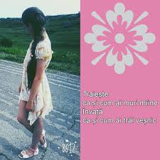 Hmsbv@yahoo.com ,,filmari profesionale cu 2 camere sau. Alcatuieste Propozitii Cu Vom V Om Voi V Oi Vor V Or Zii Zi I Vii Vi I Brainly Ro