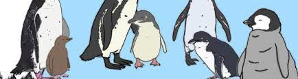 Length queries including 6 letter words now include quick navigation for speech type and starts/ends letters such as 6 letter words with the second letter c. Penguin Awareness Day Holidays And Special Events Twinkl