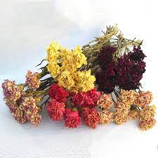 Wholesale prices for weddings & bulk orders. Wholesale Wedding Decoration Dry Flowers Pressed Real Natural Dried Carnation Buy Pressed Dried Flower Dried Carnation Real Natural Carnation Product On Alibaba Com
