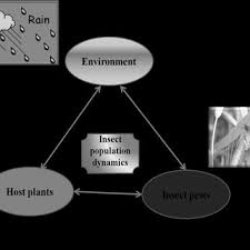 A sleepy man demands total quiet from hotel manager elmer fudd, but bellhop daffy's noisy antics keep prompting the exasperated guest to sock elmer in the face. Pdf Will Climate Change Pose Serious Threat To Crop Pest Management A Critical Review
