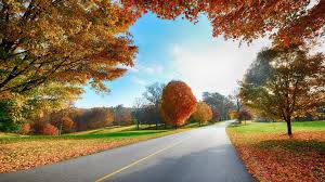 Wallpapers Hd Widescreen High Quality Desktop Free Download Landscape Wallpaper Hd Nature Wallpapers Scenery Wallpaper