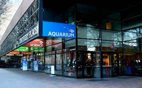 How much does a luxury hotel near nascar hall of fame cost? 10 Fun Things To Do In Charlotte Nc Today Qc Exclusive